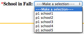 school_custom.png